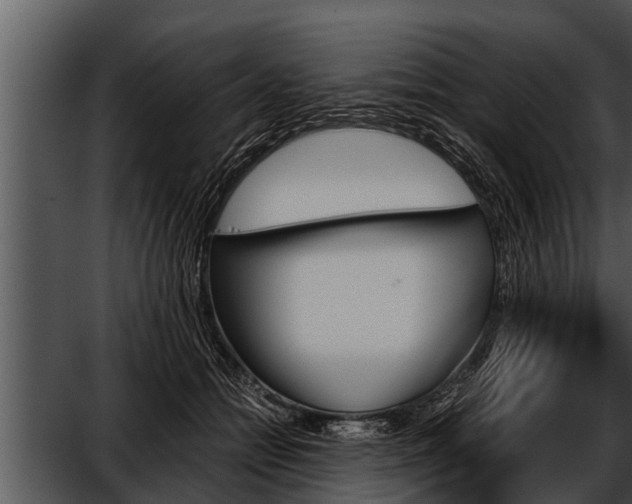 X0000052610558200507160040