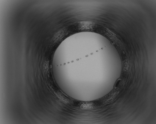 X0000052610560200507160040