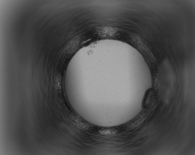 X0000052610561200507160040