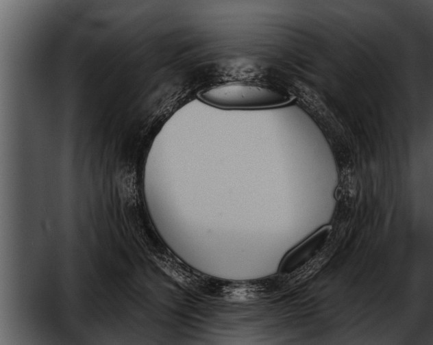 X0000052610564200507160040