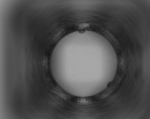 X0000052610565200507160040