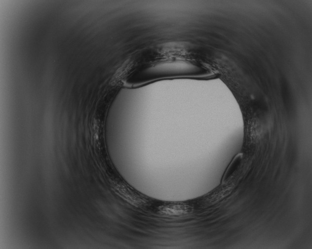 X0000052610567200507160040