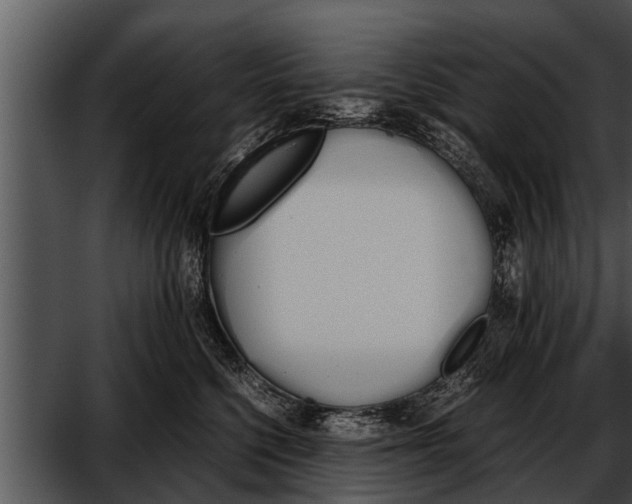 X0000052610568200507160040