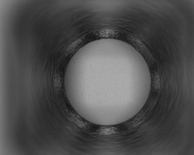 X0000052610569200507160040