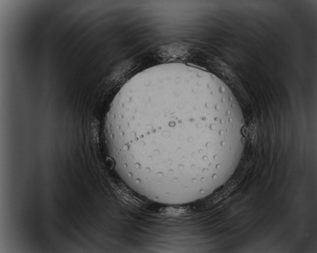 X0000052610570200507160040