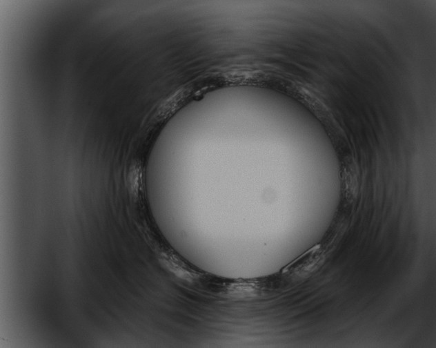 X0000052610574200507160040