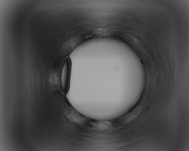 X0000052610576200507160040