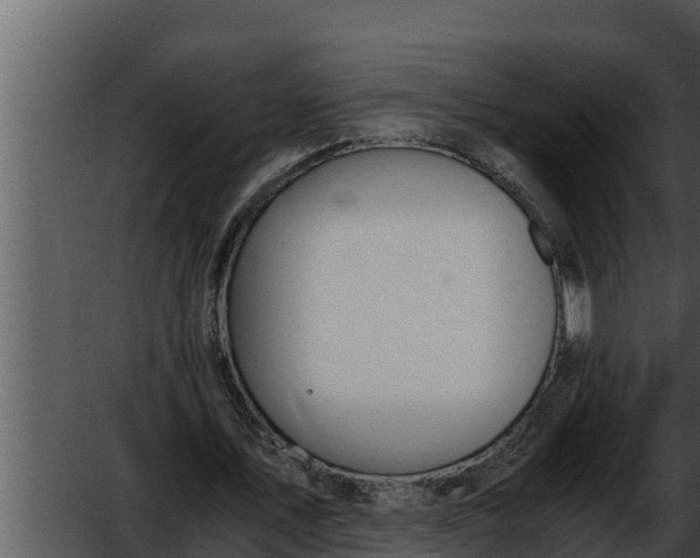 X0000052610579200507160040