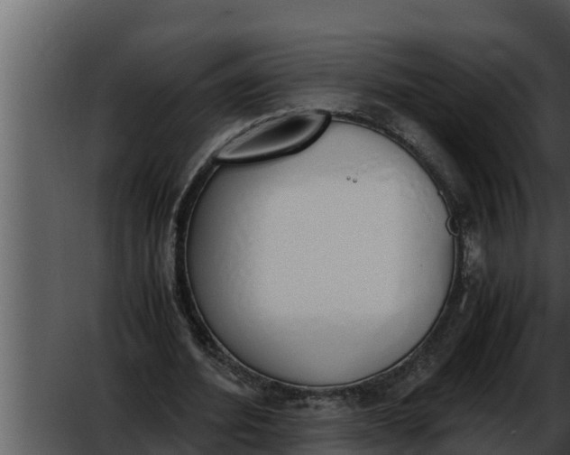 X0000052610580200507160040