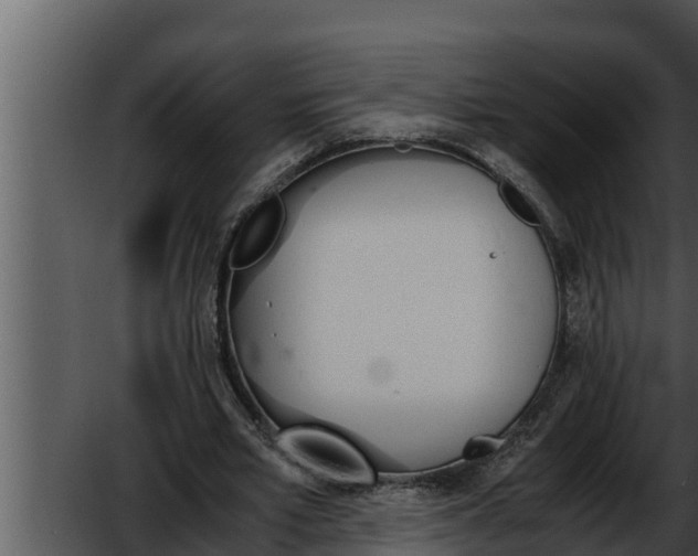 X0000052610581200507160040