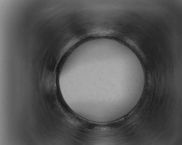 X0000052610582200507160040