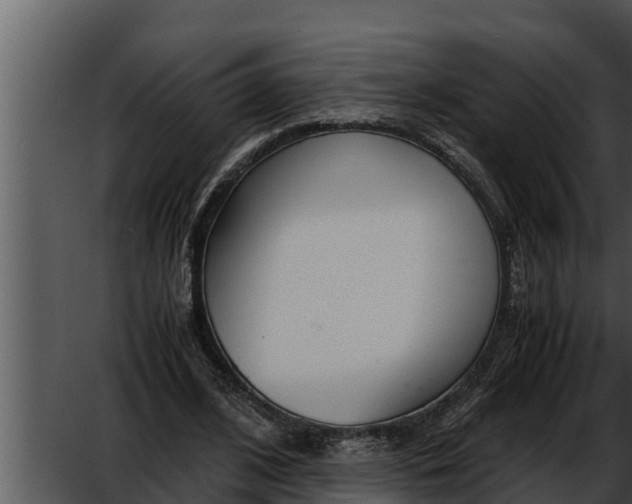 X0000052610584200507160039