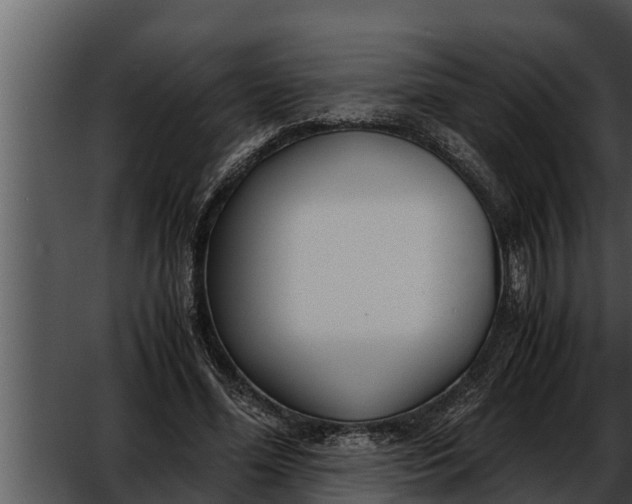 X0000052610588200507160039