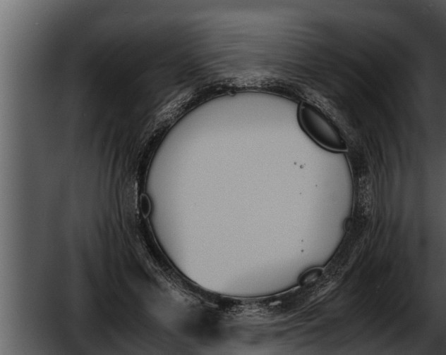 X0000052610589200507160039