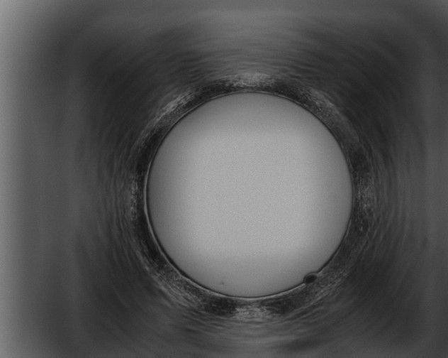 X0000052610591200507160039