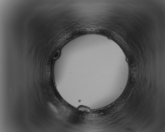 X0000052610593200507160039