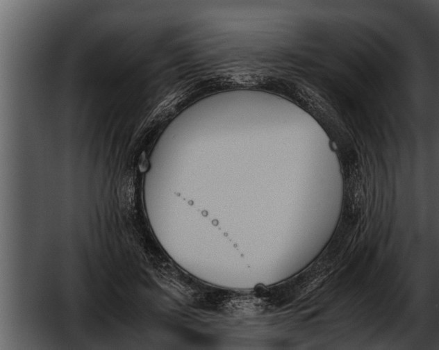 X0000052610595200507160039