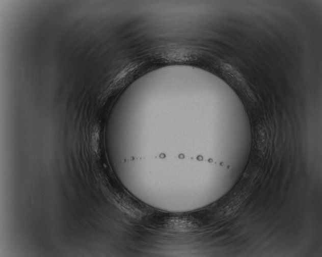 X0000052610596200507160039