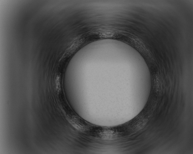 X0000052610598200507160039