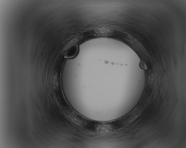 X0000052610599200507160039