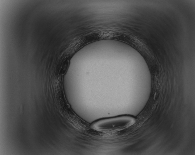 X0000052610601200507160039