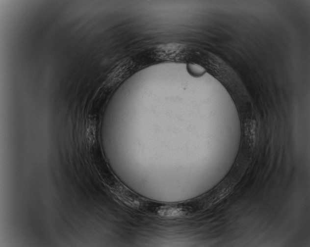 X0000052610602200507160039