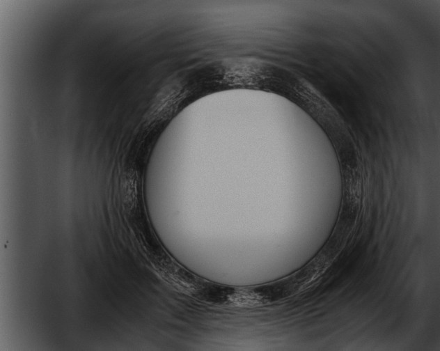 X0000052610603200507160039