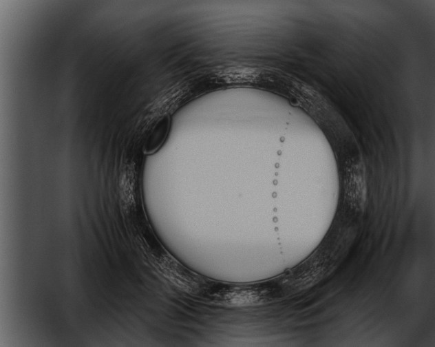 X0000052610604200507160039