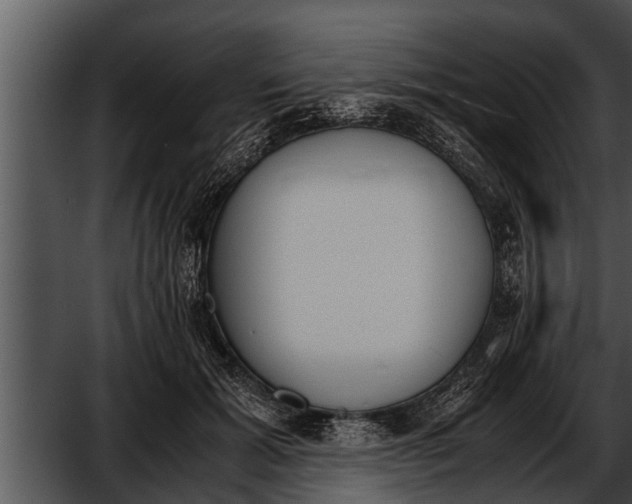 X0000052610605200507160039