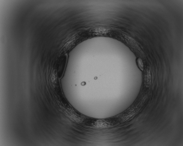 X0000052610608200507160039