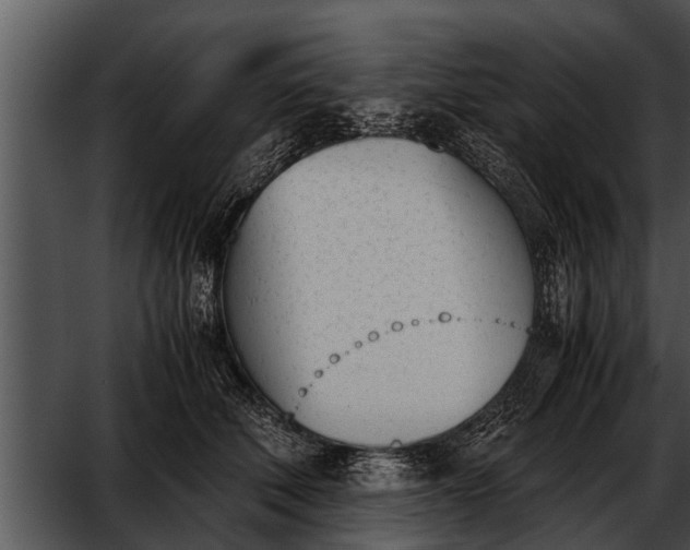 X0000052610610200507160039