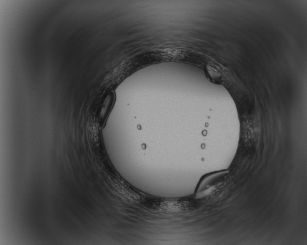 X0000052610613200507160039