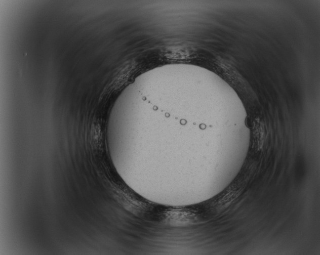 X0000052610614200507160039