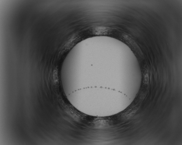 X0000052610620200507160039