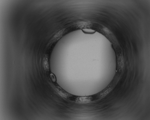 X0000052610622200507160039