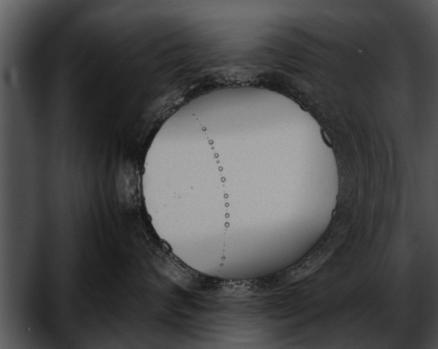 X0000052610624200507160039