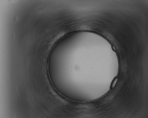 X0000052610625200507160038