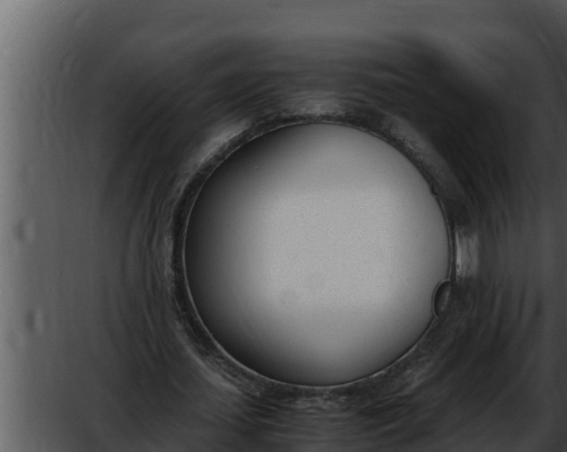 X0000052610627200507160038