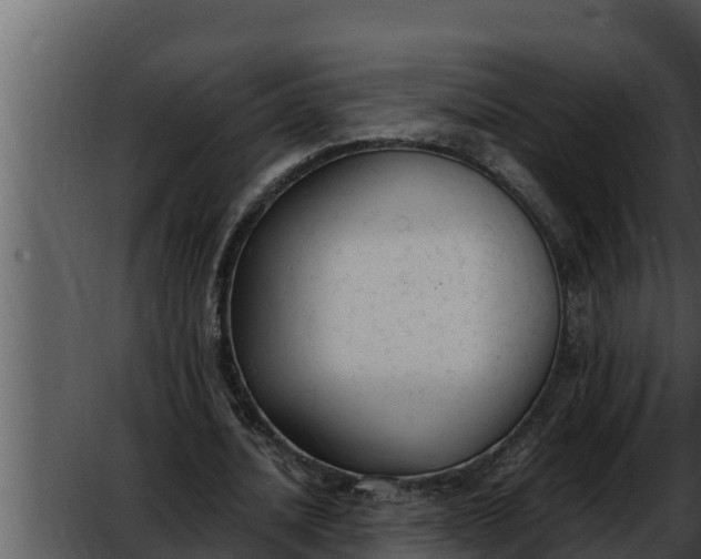 X0000052610628200507160038