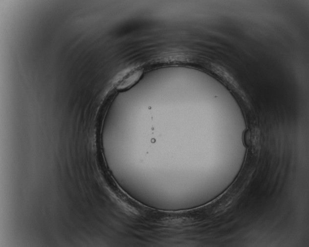 X0000052610629200507160038