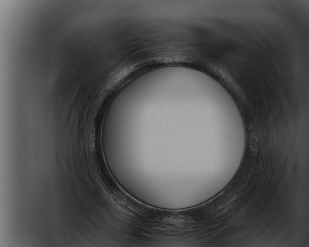 X0000052610631200507160038