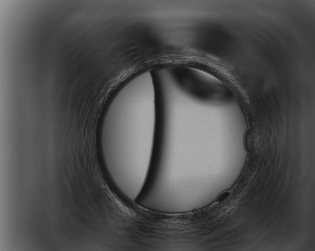 X0000052610633200507160038