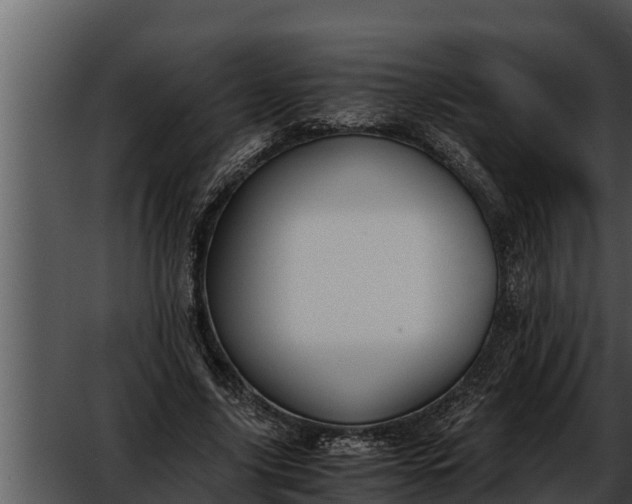 X0000052610635200507160038