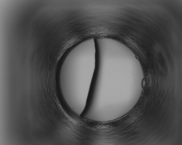 X0000052610638200507160038