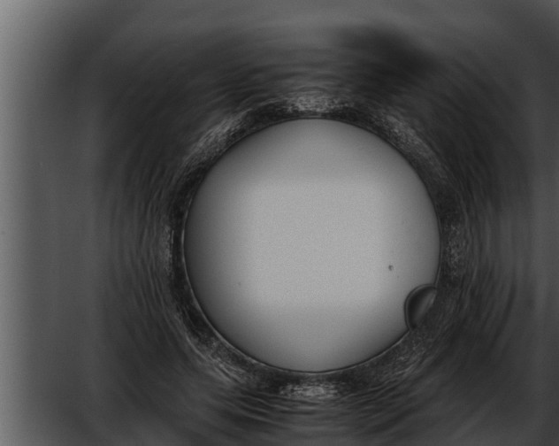 X0000052610639200507160038