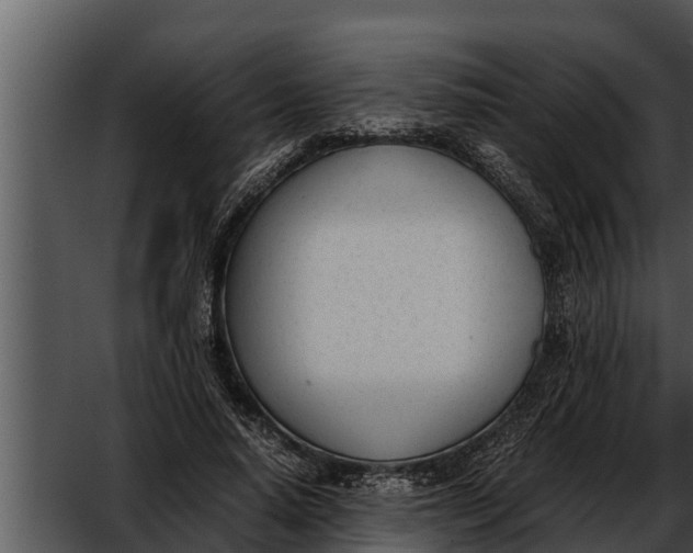 X0000052610640200507160038