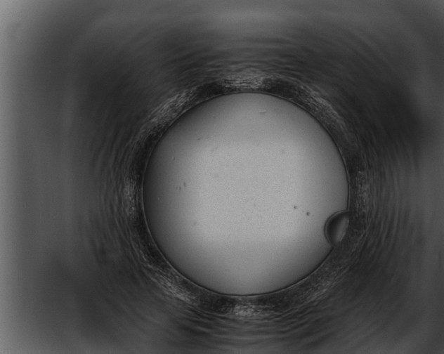 X0000052610641200507160038