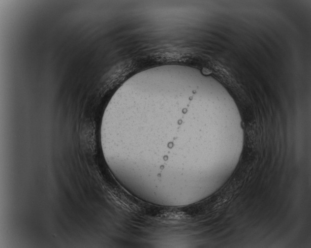 X0000052610642200507160038