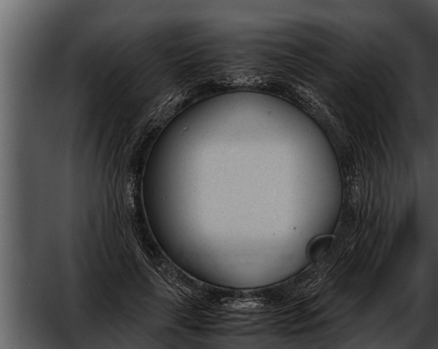 X0000052610643200507160038