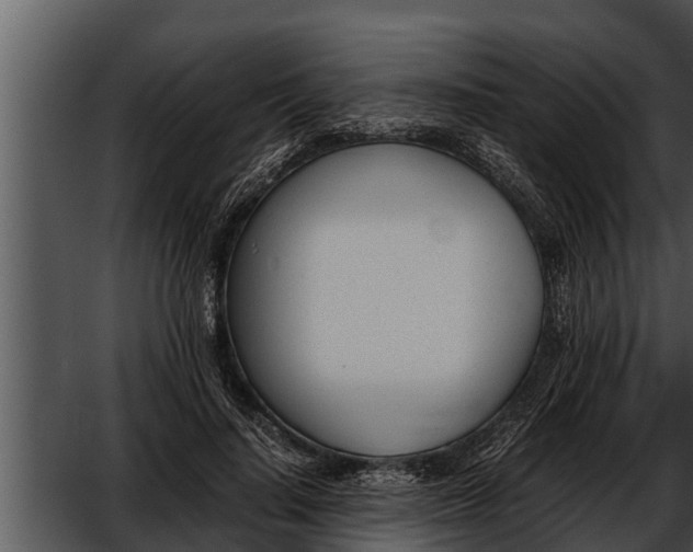 X0000052610644200507160038